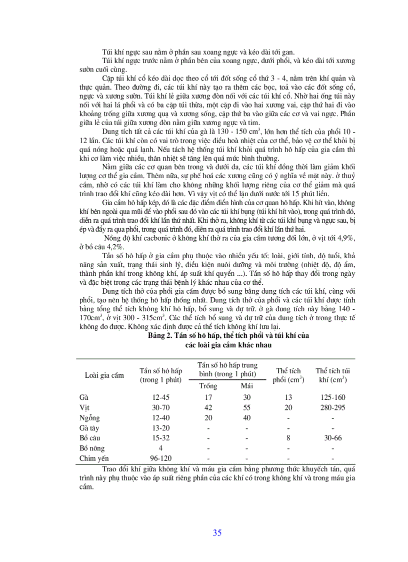 image for page Bài giảng chăn nuôi gia cầm