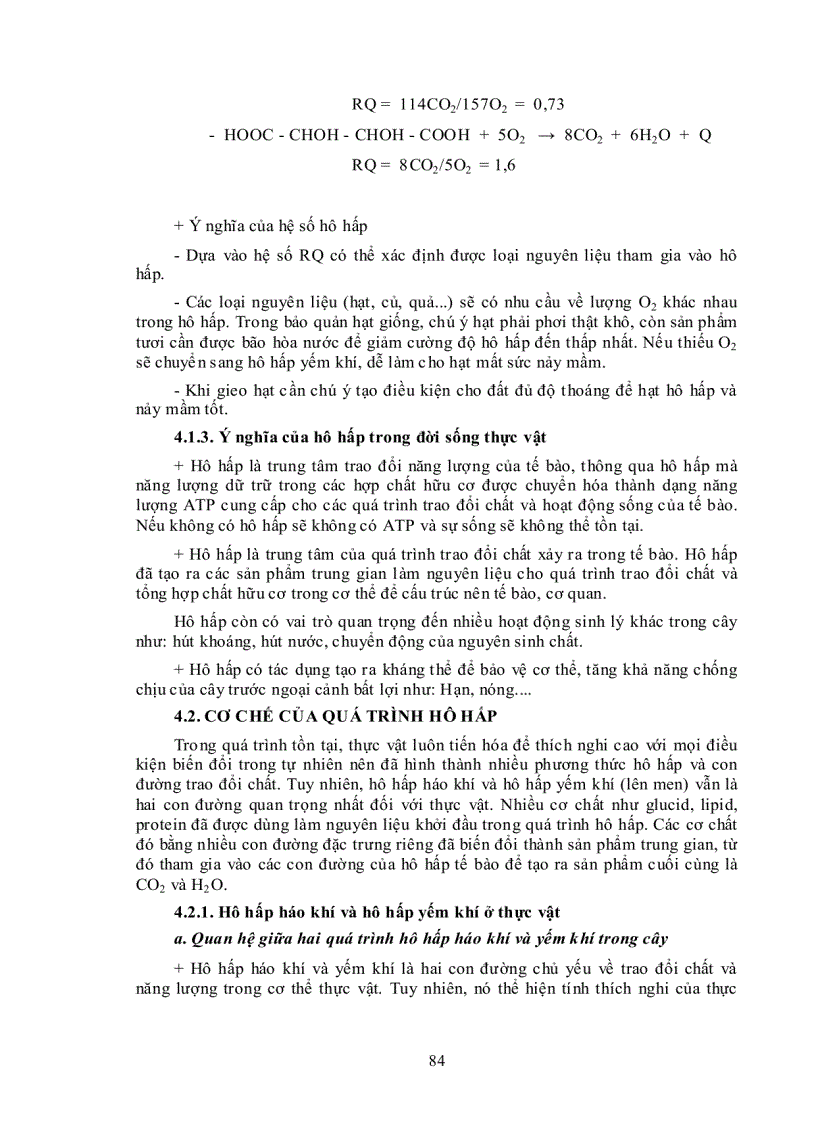 image for page Ý nghĩa của hô hấp trong đời sống thực vật