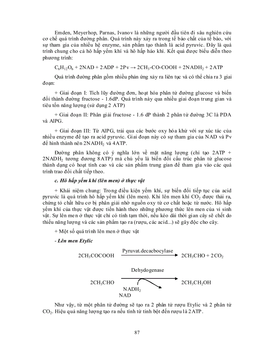 image for page Ý nghĩa của hô hấp trong đời sống thực vật