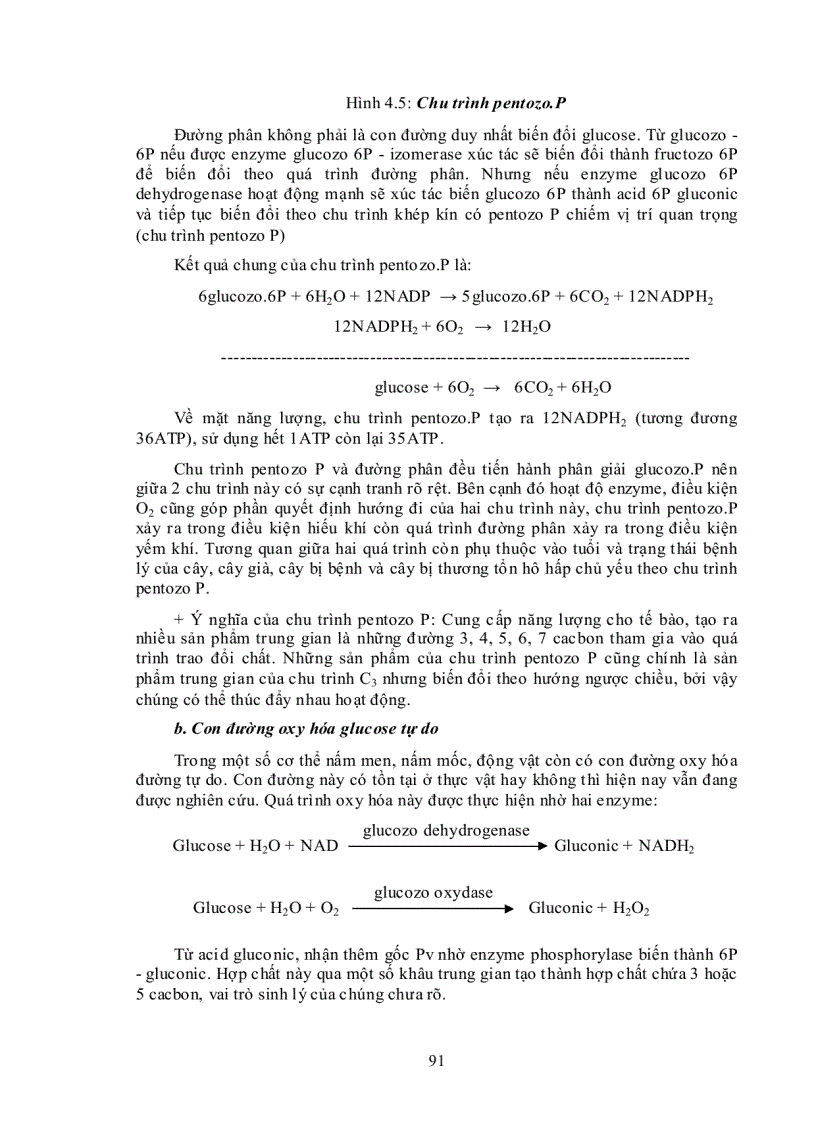 image for page Ý nghĩa của hô hấp trong đời sống thực vật