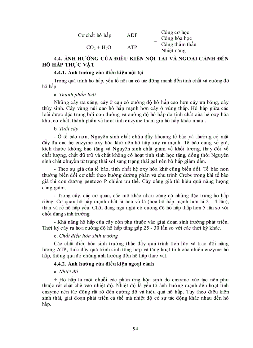 image for page Ý nghĩa của hô hấp trong đời sống thực vật