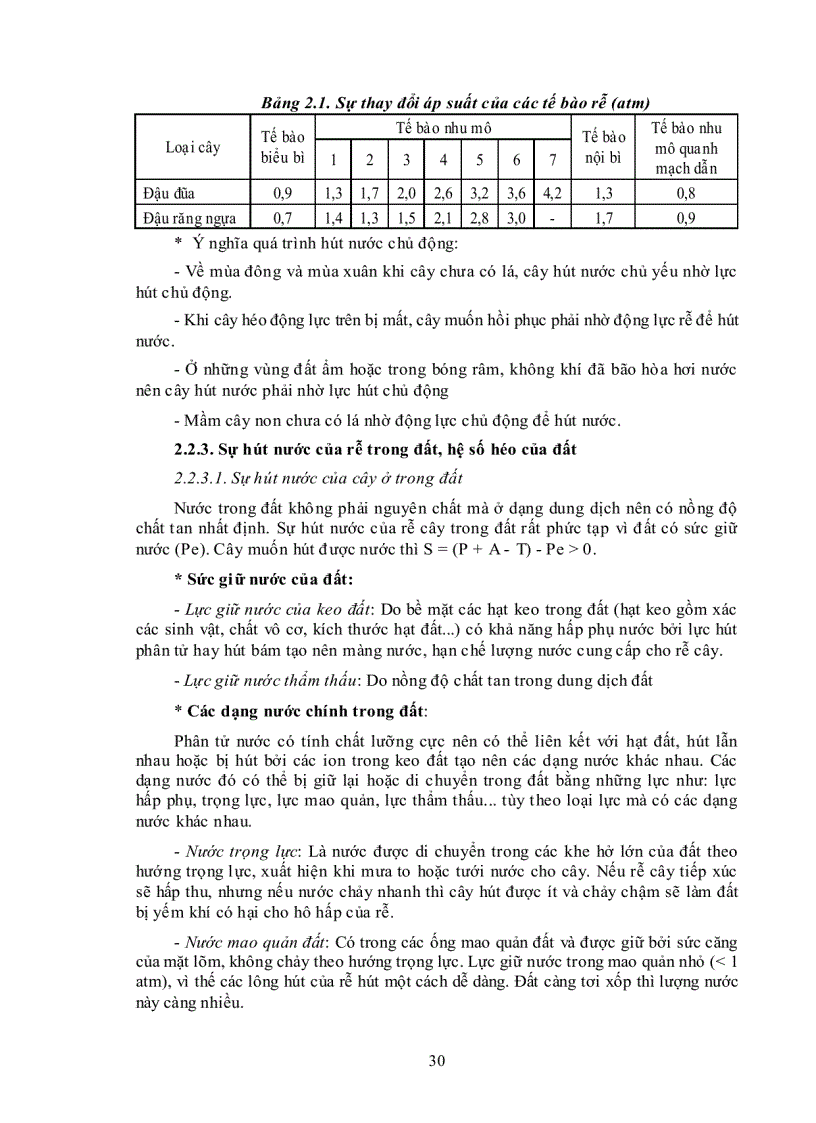 image for page Vai trò của nước đối với thực vật và khái niệm về sự trao đổi nước