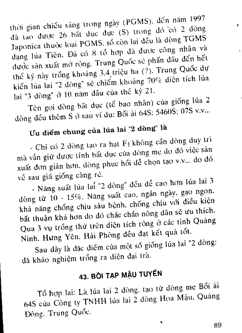 image for page Giống lúa lai Trung Quốc và kỹ thuật gieo trồng