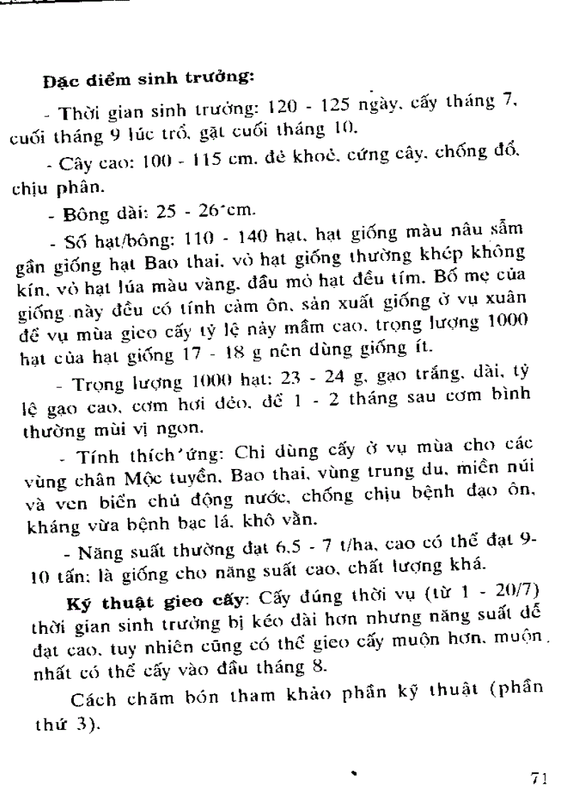 image for page Giống lúa lai Trung Quốc đang được gieo trồng ở nước ta