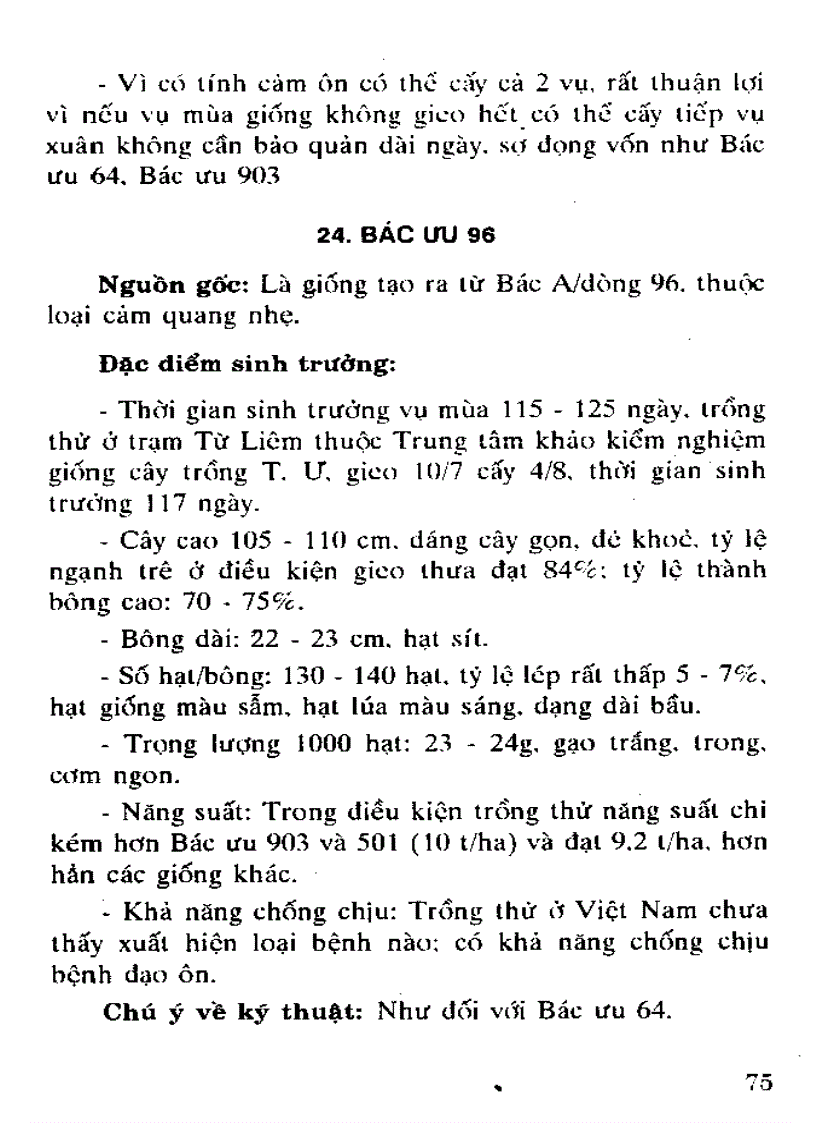 image for page Giống lúa lai Trung Quốc đang được gieo trồng ở nước ta