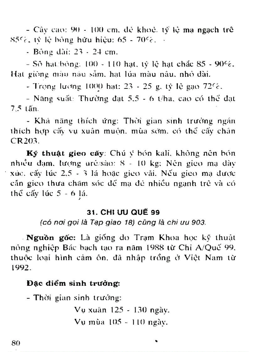 image for page Giống lúa lai Trung Quốc đang được gieo trồng ở nước ta