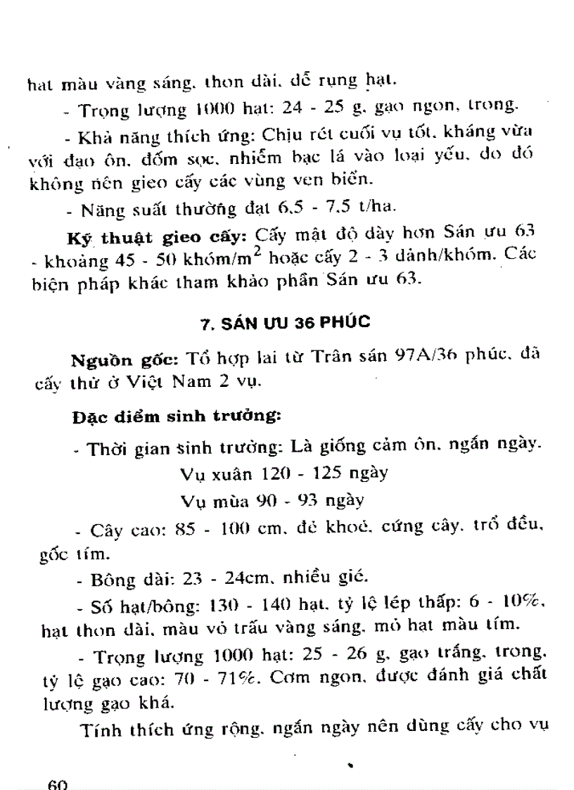 image for page Kỹ thuật gieo cây và giới thiệu giống lúa lai