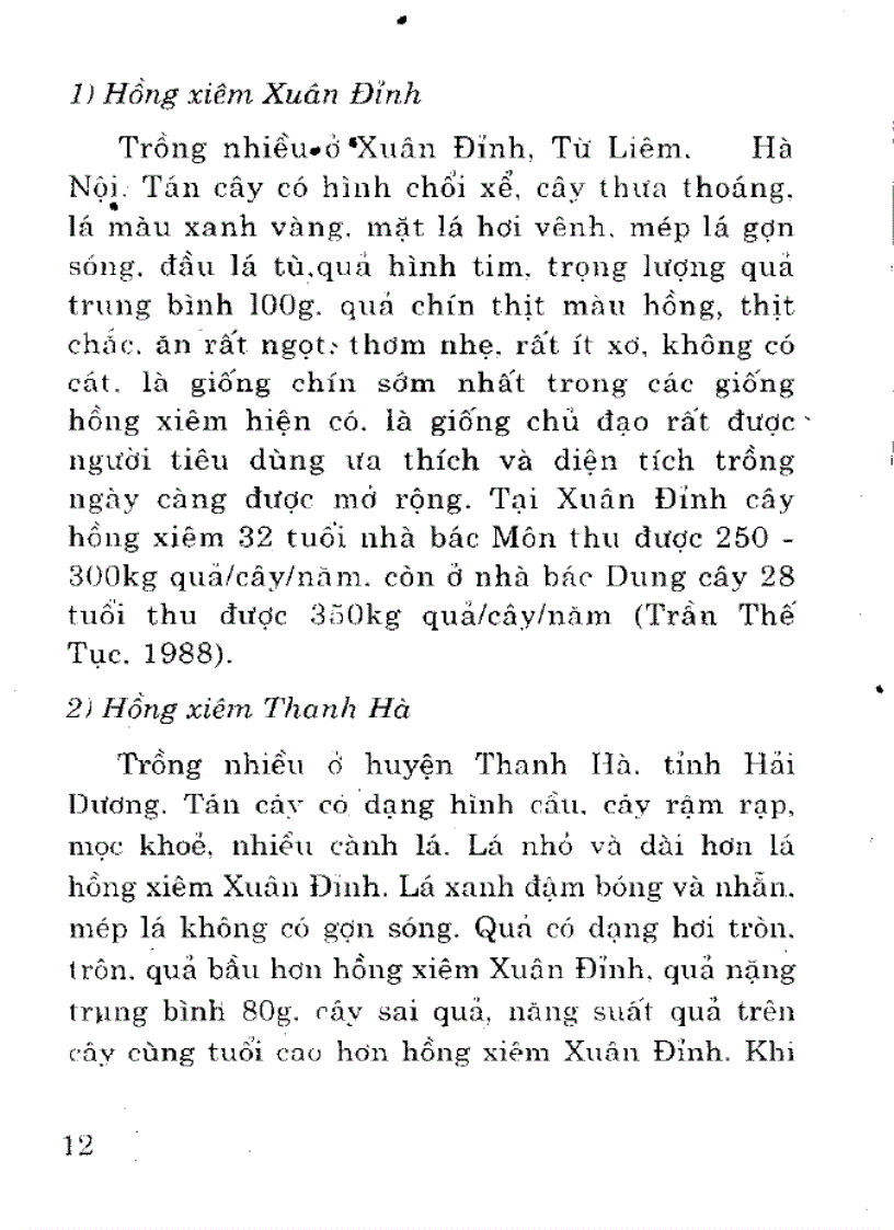 Kỹ thuật trồng cây hồng xiêm