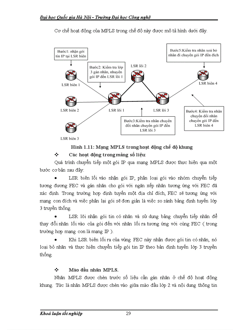 image for page Ứng dụng MPLS trong hệ thống mạng quang