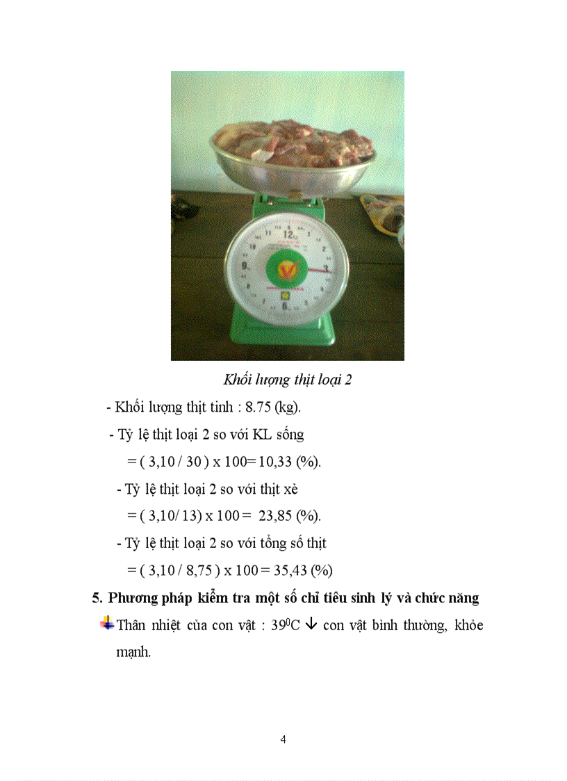 image for page Báo cáo thực tập chăn nuôi trâu bò