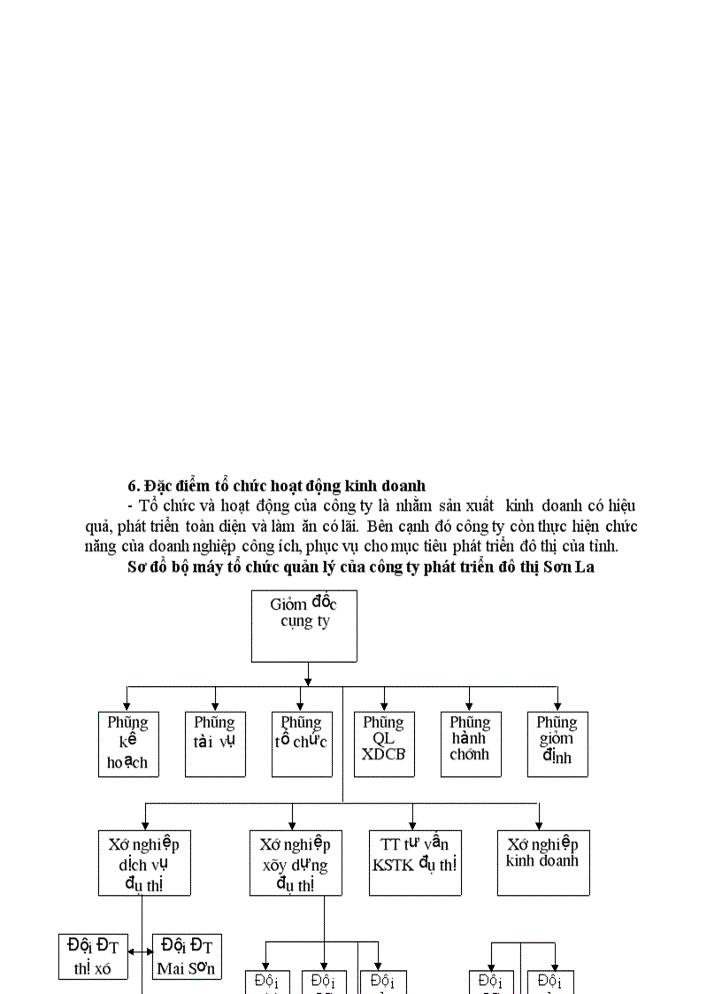 image for page Đặc điểm chung của công ty phát triển đô thị Sơn La
