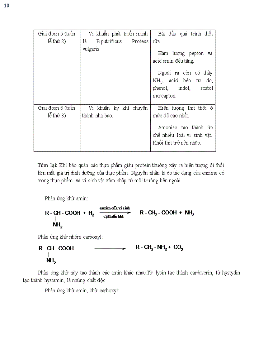 image for page Biến đổi dinh dưỡng trong quá trình nướng thịt