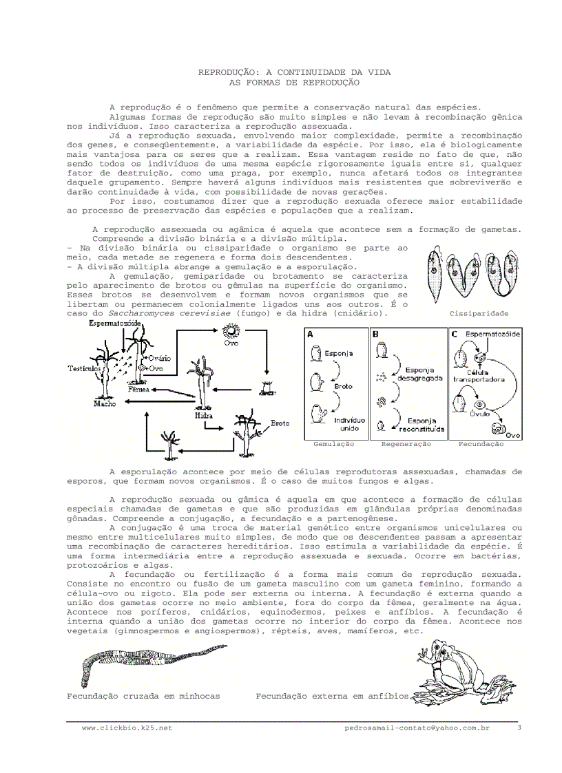 image for page Sinh học đại cương 3 Biologia geral 3