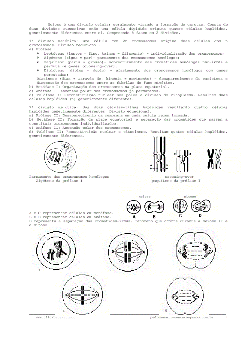 image for page Sinh học đại cương 3 Biologia geral 3