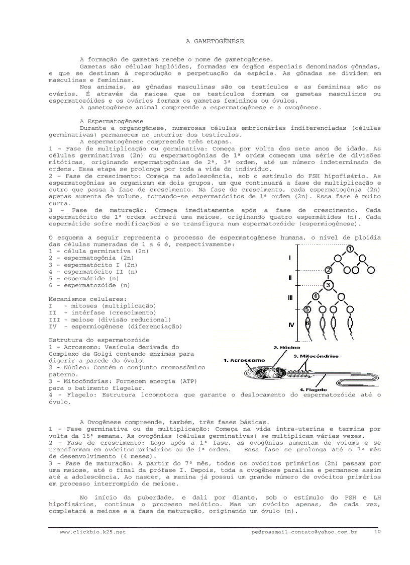 image for page Sinh học đại cương 3 Biologia geral 3