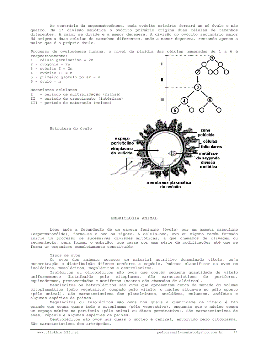 image for page Sinh học đại cương 3 Biologia geral 3