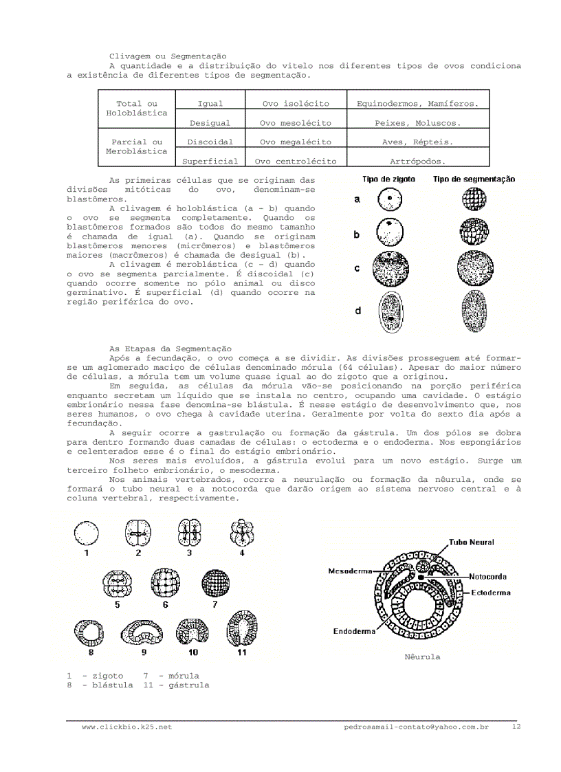 image for page Sinh học đại cương 3 Biologia geral 3