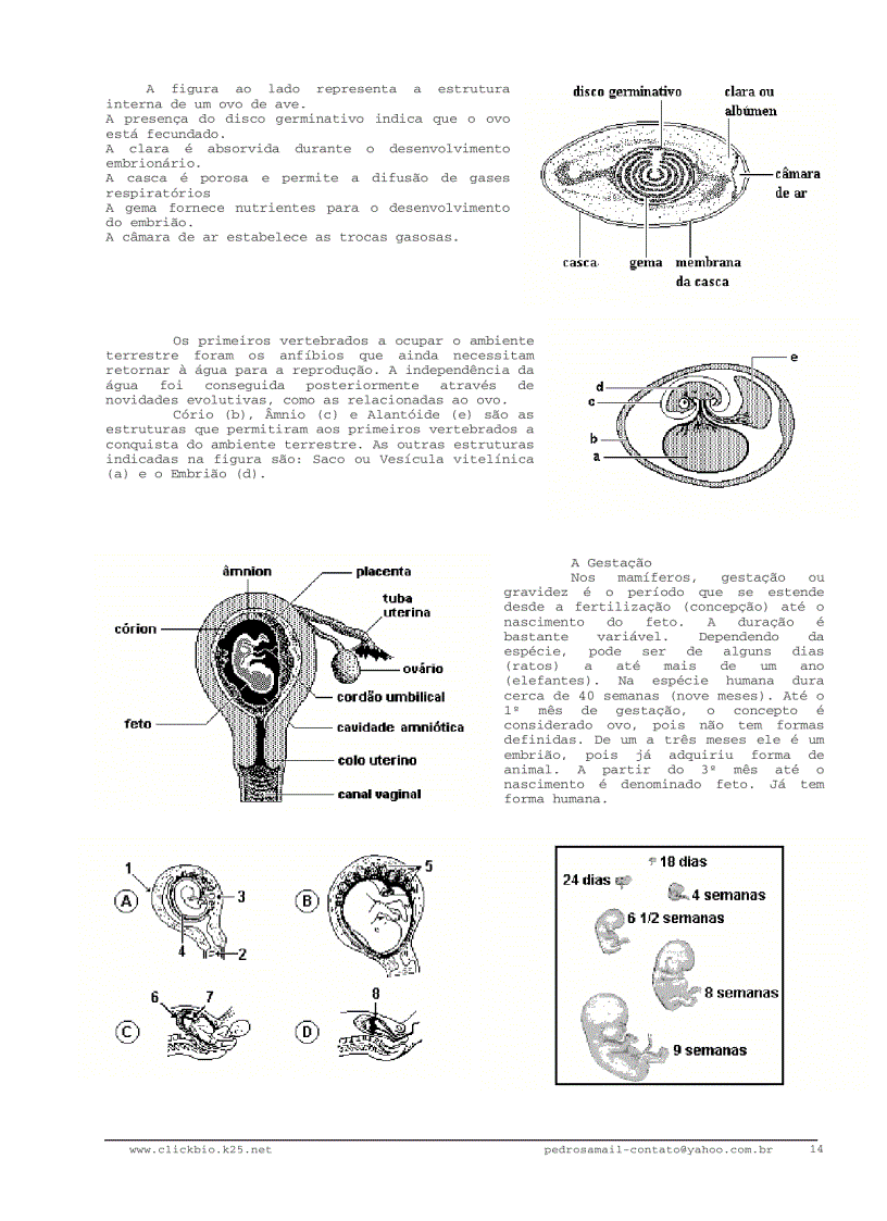 image for page Sinh học đại cương 3 Biologia geral 3