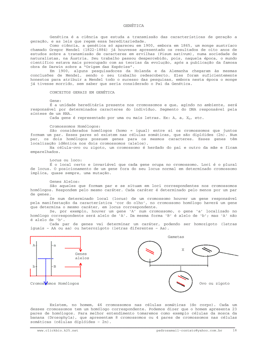 image for page Sinh học đại cương 3 Biologia geral 3