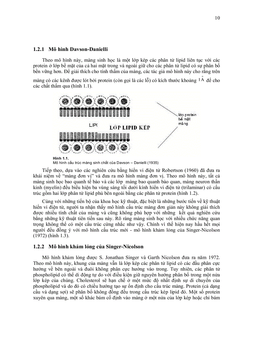 image for page Sinh học màng tế bào
