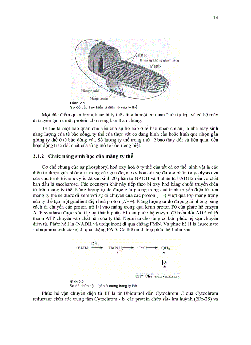 image for page Sinh học màng tế bào