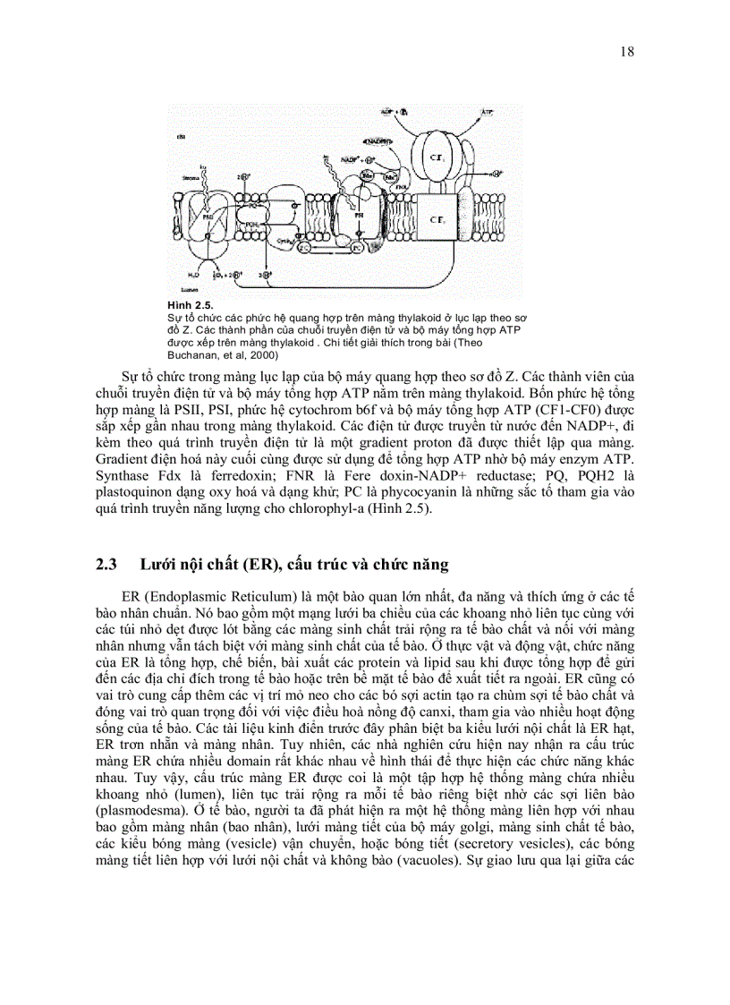 image for page Sinh học màng tế bào