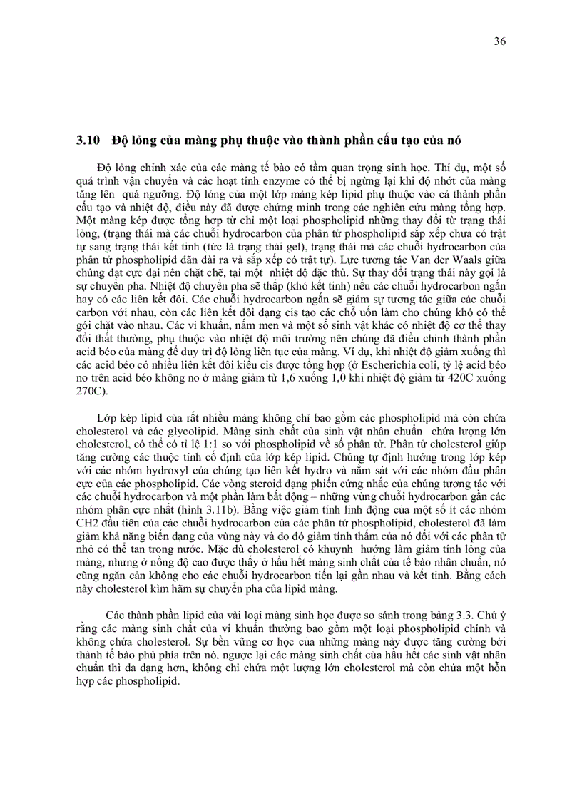 image for page Sinh học màng tế bào