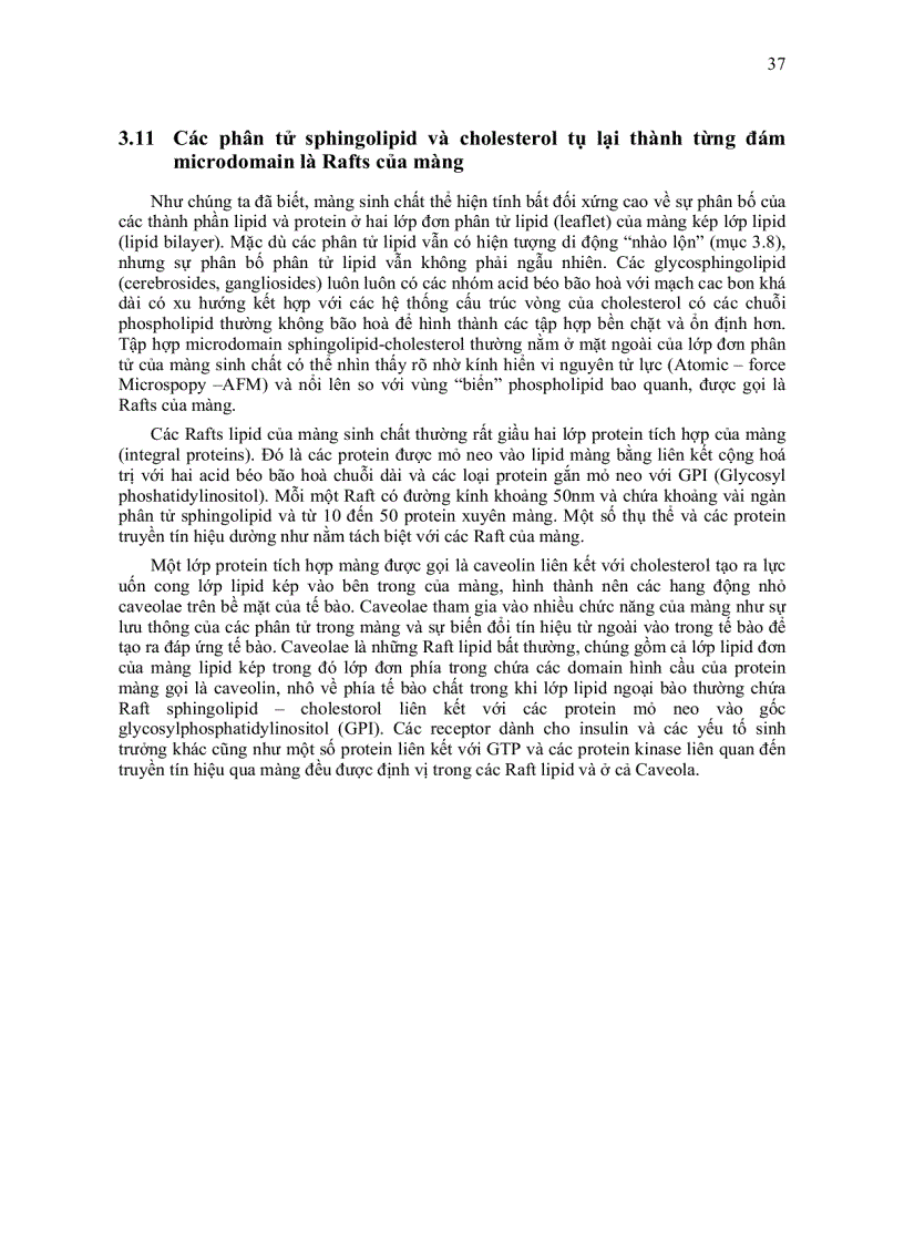 image for page Sinh học màng tế bào