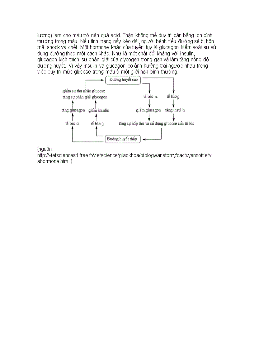 image for page Hệ nội tiết