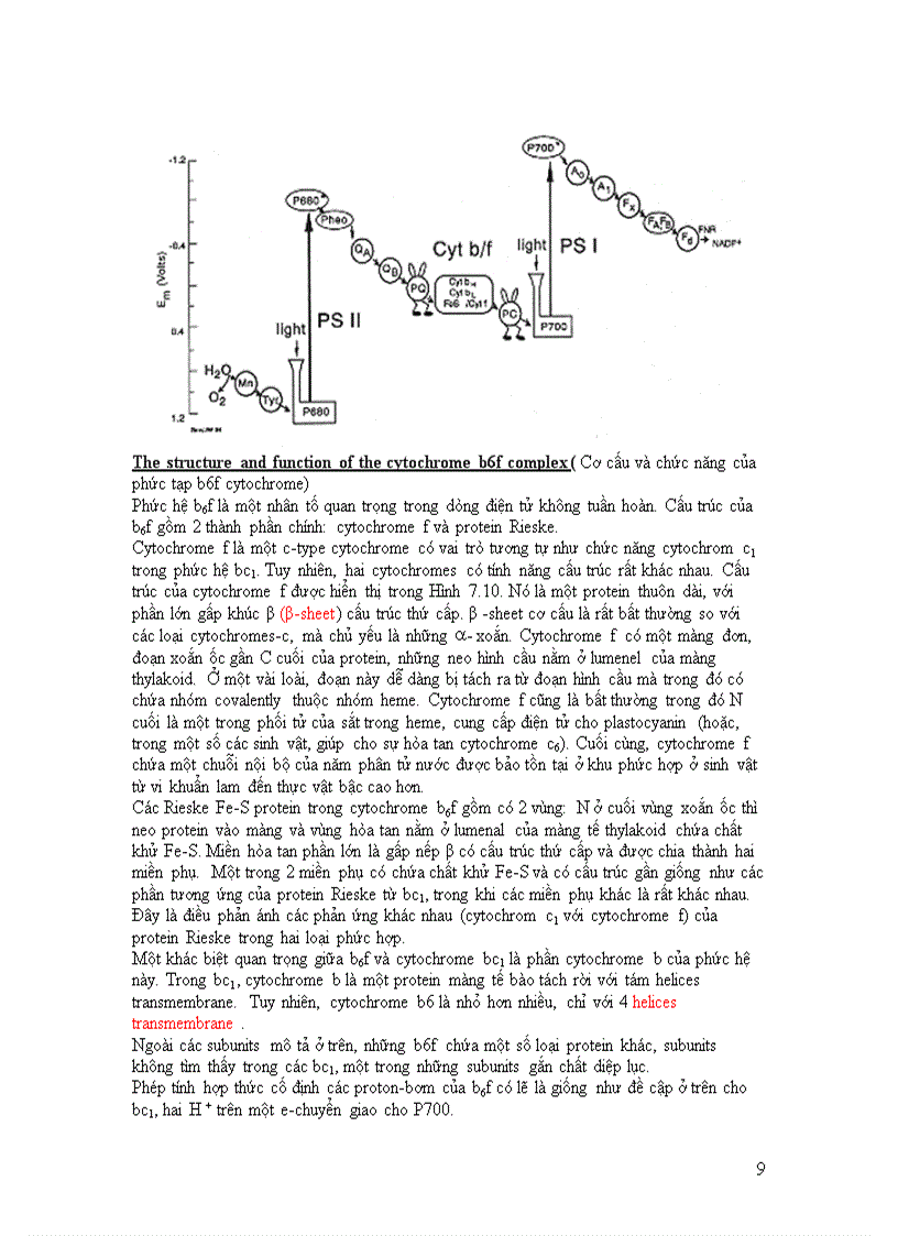 image for page Vận chuyển electron