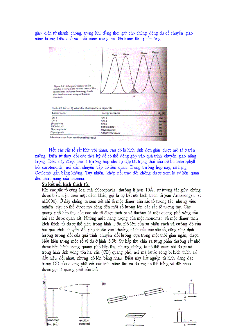 image for page Chuyển hóa ánh sáng