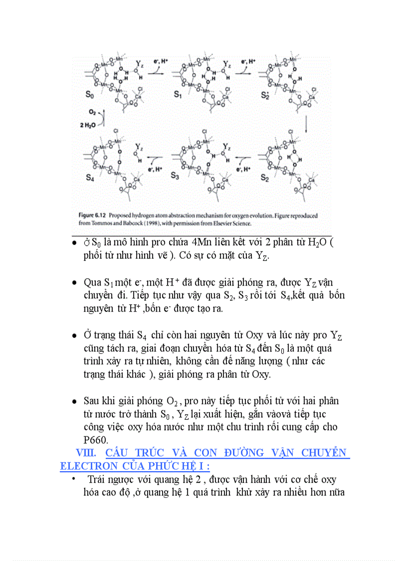 image for page Tập trung phản ứng quang hợp