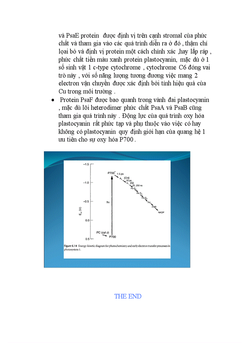 image for page Tập trung phản ứng quang hợp