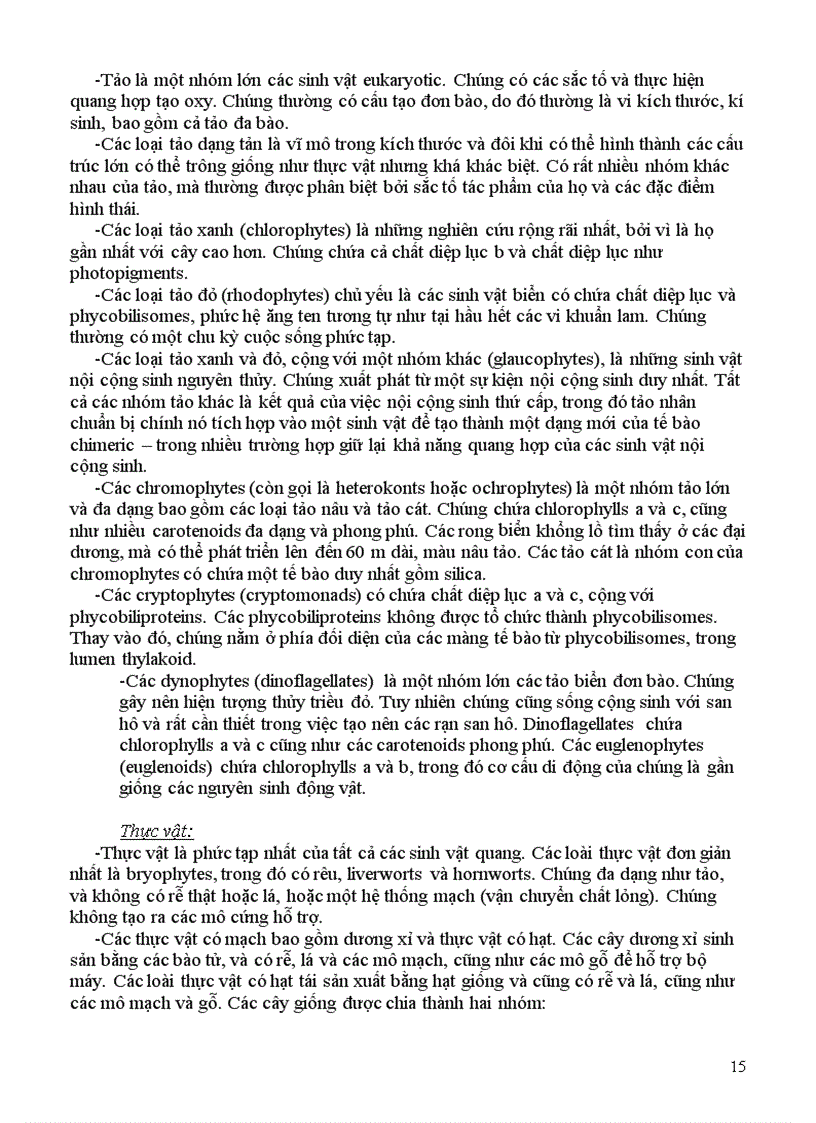 image for page Cây xanh tích lũy ánh sáng mặt trời