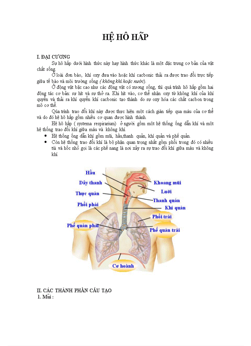 Hô hấp