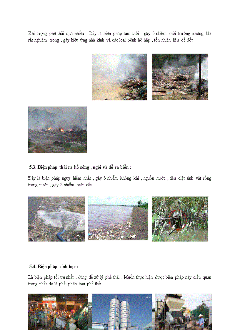 image for page Vi sinh vật và môi trường