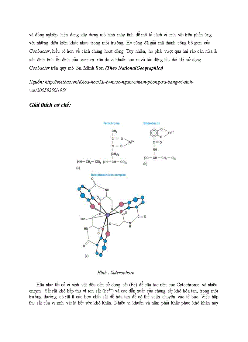 image for page Vi sinh vật và môi trường