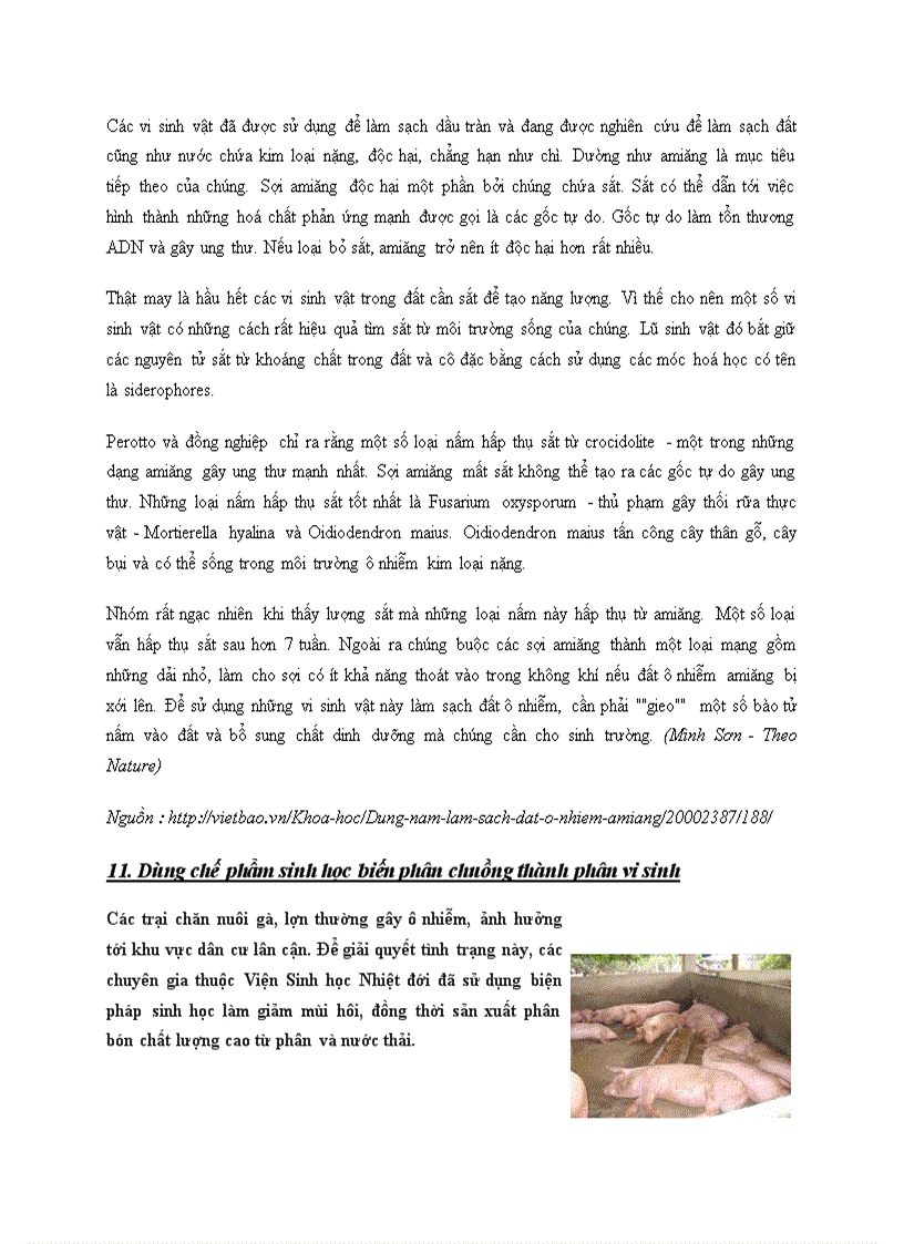 image for page Vi sinh vật và môi trường