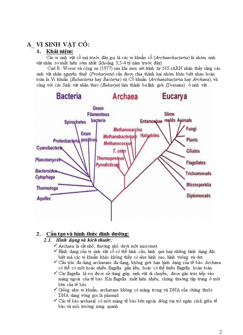 image for page Vi sinh vật cổ