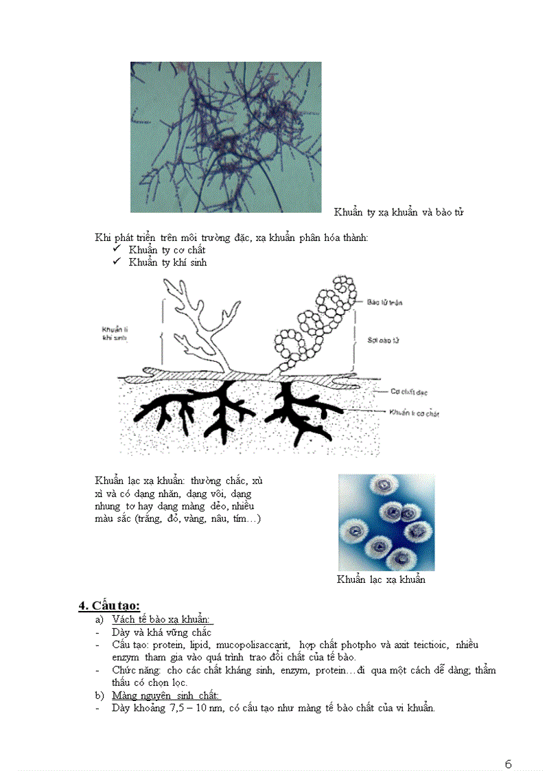 image for page Vi sinh vật cổ