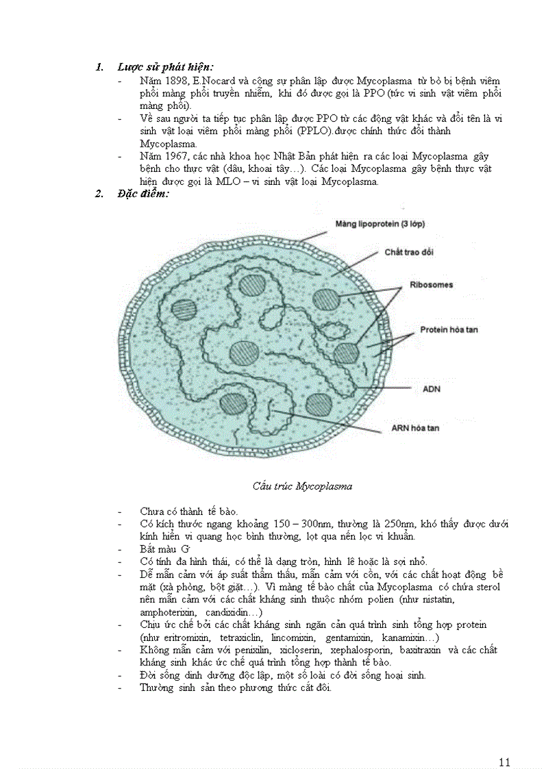 image for page Vi sinh vật cổ