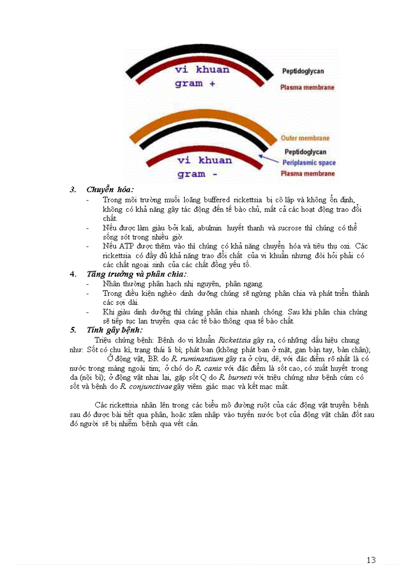 image for page Vi sinh vật cổ