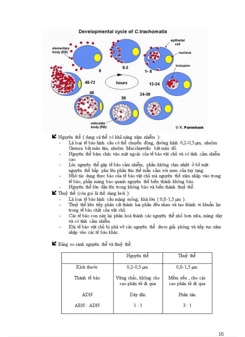 image for page Vi sinh vật cổ