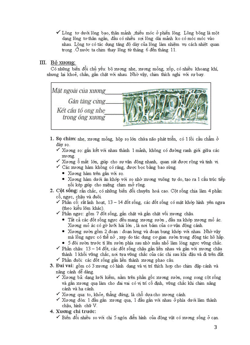 image for page Lớp chim