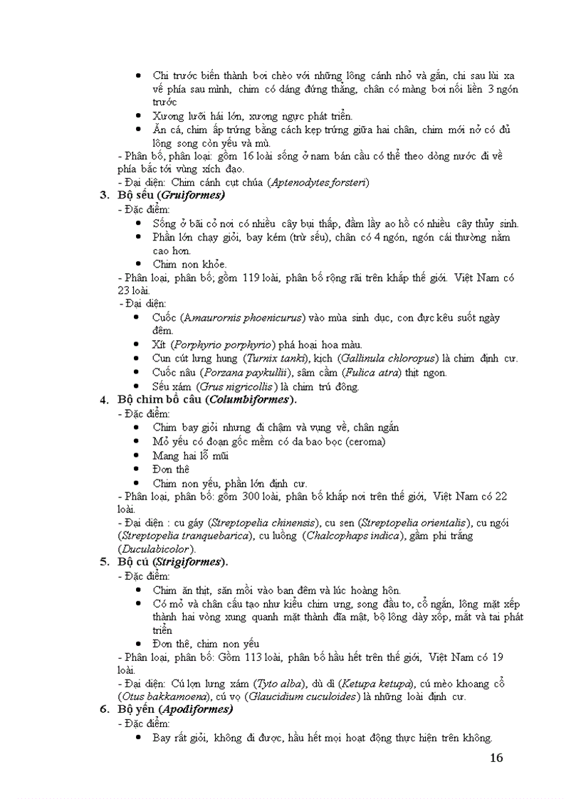 image for page Lớp chim