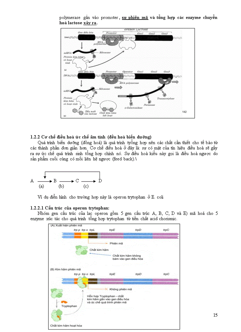 image for page Cơ chế di truyền