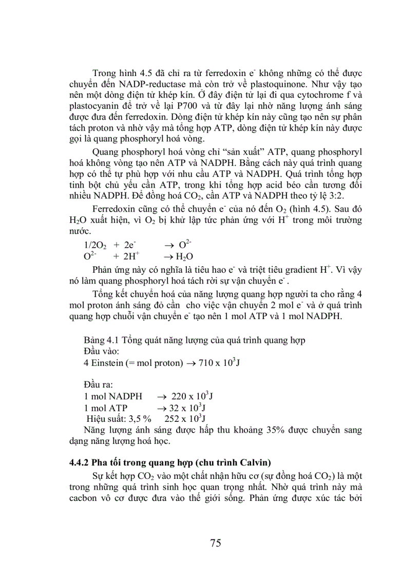 image for page Trao đổi cacbohydrat