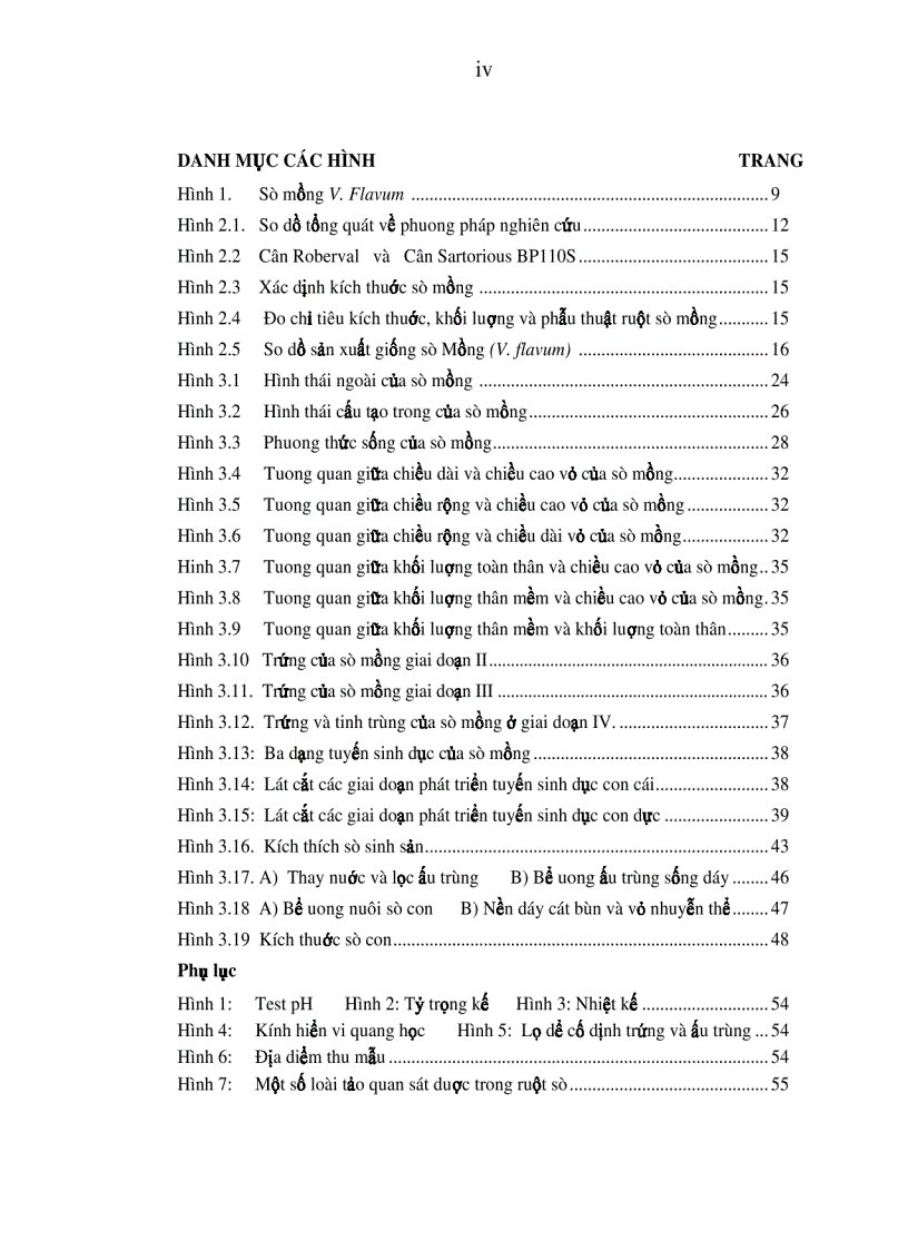 image for page Nghiên cứu đặc điểm sinh học sinh sản và tiến hành thử nghiệm sinh sản nhân tạo sò mồng Váticadium flavum