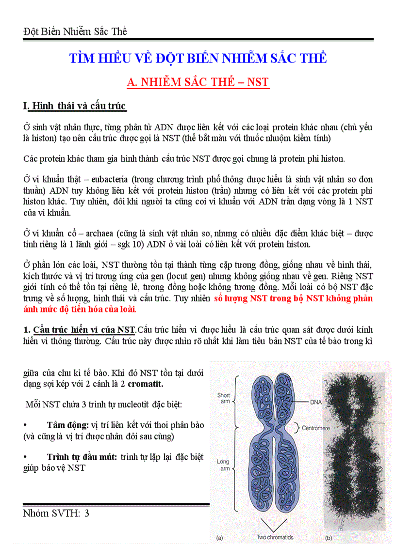 image for page Đột biến nhiễm sắc thể