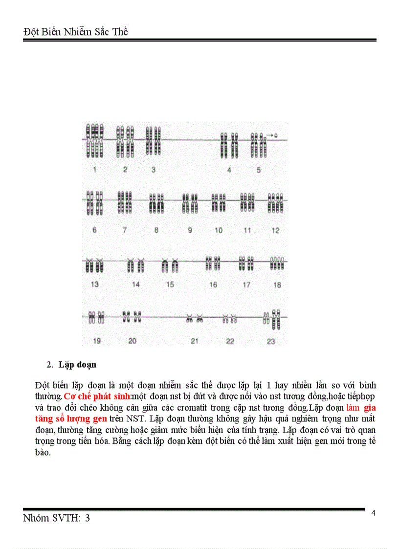 image for page Đột biến nhiễm sắc thể